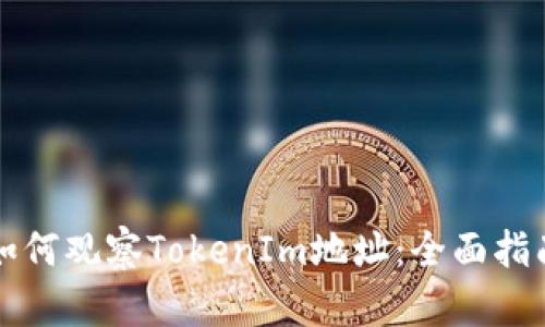 如何观察TokenIm地址：全面指南