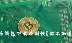 为什么比特币钱包下载特别慢？你不知道的真相