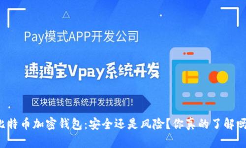 比特币加密钱包：安全还是风险？你真的了解吗？