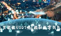 ETH钱包里能放USDT吗？揭秘