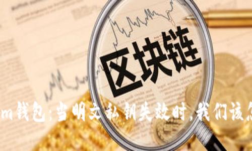 Tokenim钱包:当明文私钥失效时,我们该怎么办?