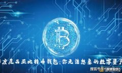 探索印度尼西亚比特币钱