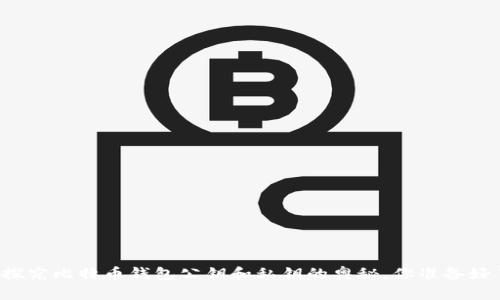深入探究比特币钱包公钥和私钥的奥秘，你准备好了吗？