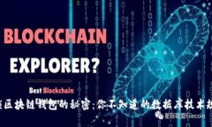 解锁区块链钱包的秘密：你不知道的数据库技术