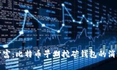 “失落的财富：比特币早期挖矿钱包的消逝与希