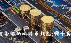 寻找最适合你的比特币钱