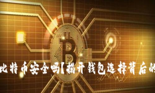 你的比特币安全吗？揭开钱包选择背后的秘密