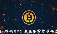 解密Tokenim中的XMC：未来加密货币的潜力与机遇？