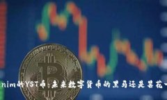 Tokenim的YST币：未来数字货币的黑马还是昙花一现