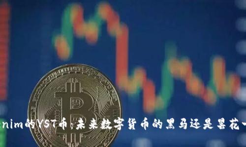 Tokenim的YST币：未来数字货币的黑马还是昙花一现？