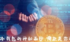 揭开虚拟币冷钱包的神秘面纱：哪款是你的最佳
