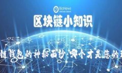 揭开区块链钱包的神秘面纱：哪个才是您的理想
