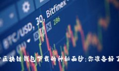 揭开区块链钱包下载的神秘面纱：你准备好了吗