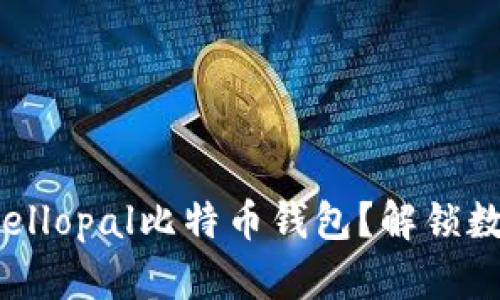如何轻松开启你的hellopal比特币钱包？解锁数字财富之门的秘密！