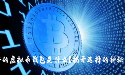 最好的虚拟币钱包是什么？揭开选择的神秘面纱