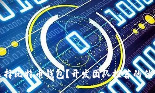 如何选择比特币钱包？开发团队推荐的优质选择