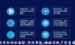 揭开比特币的神秘面纱：你的钱包、地址与账户