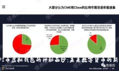 揭开PI币虚拟钱包的神秘面纱：未来数字货币的新