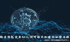 比特币钱包交易BCH：你可能不知道的秘密与技巧