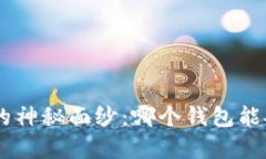 揭开数字钱包的神秘面纱：哪个钱包能安全存放