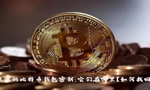 流浪的比特币钱包密钥：它们在哪里？如何找回？