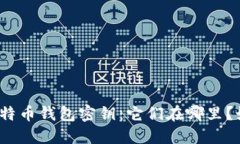 流浪的比特币钱包密钥：它们在哪里？如何找回