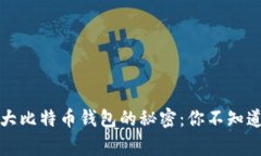 揭开全球最大比特币钱包的秘密：你不知道的背